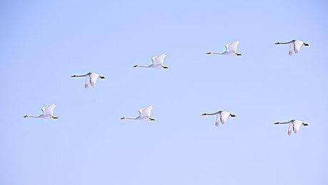 索尼计划到2026年时至少推出10款即时服务游戏